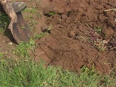 Jardin : mettre en valeur son sol grâce au bêchage (7/8)