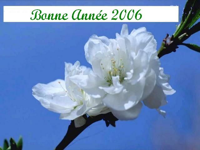 Bonne année 2006 à tous les jardiniers