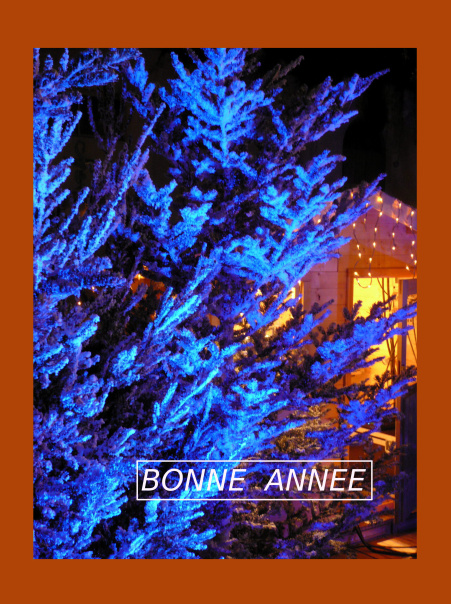 BONNE ET HEUREUSE ANNEE 2009