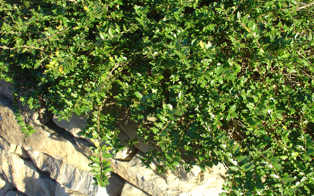 Bien choisir les bordures