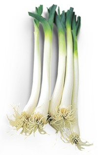 Le roi du potager en novembre : le poireau