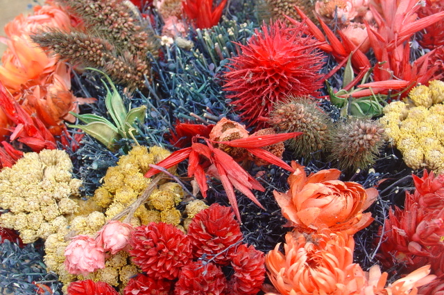 Bouquets séchés à l’air libre