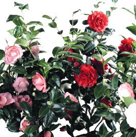 Manifestations au mois d’avril