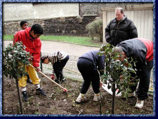 Eliminez les « mauvaises herbes »