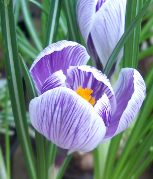 Mars, le temps du renouveau