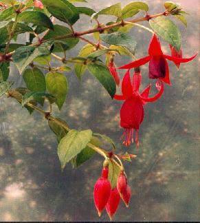 Manifestations au mois d’avril