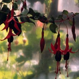 Manifestations au mois d’avril