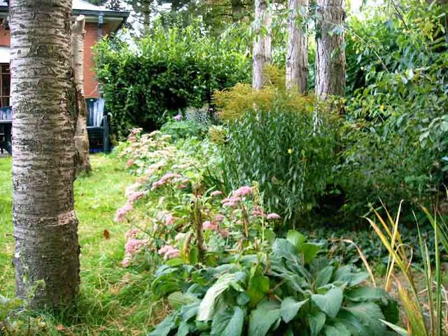 Amenager un petit jardin