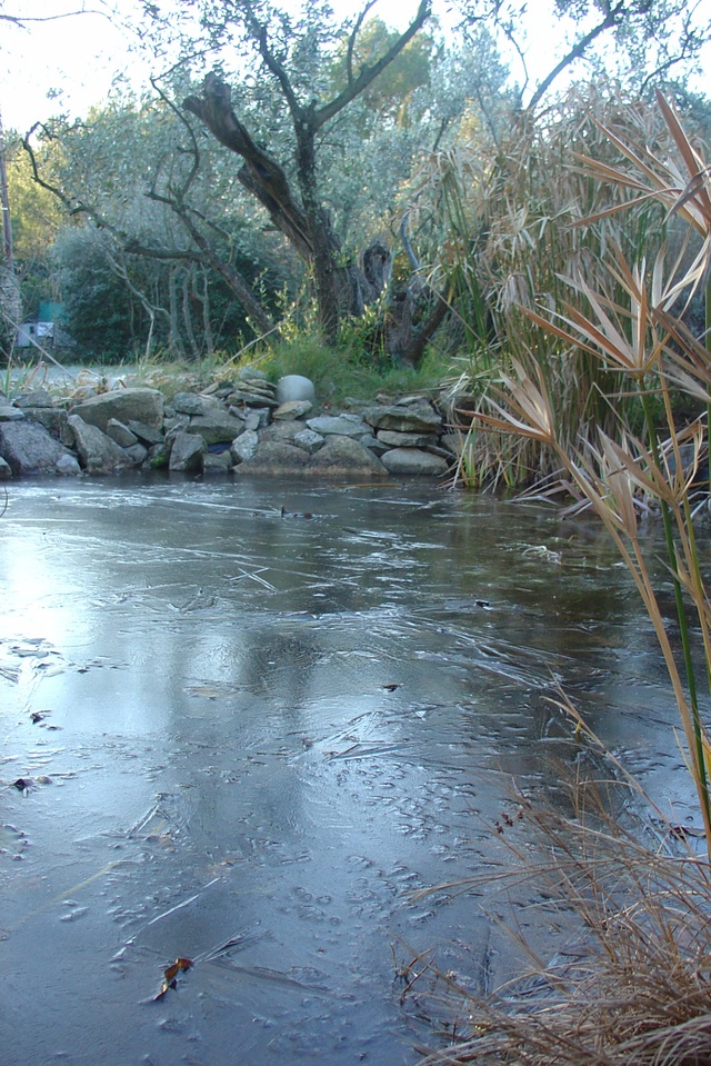Gel et neige de février