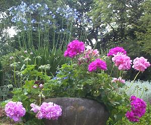 Le rois des balcons…