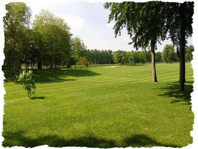 Des soins pour la pelouse