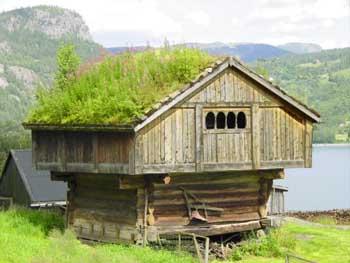 Les toitures végétales