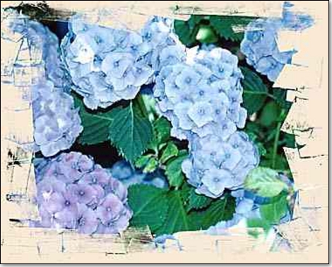 Manifestations au mois de juin