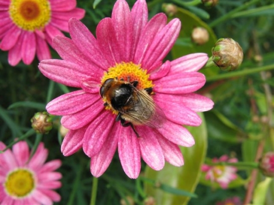 Manifestations au mois de juillet