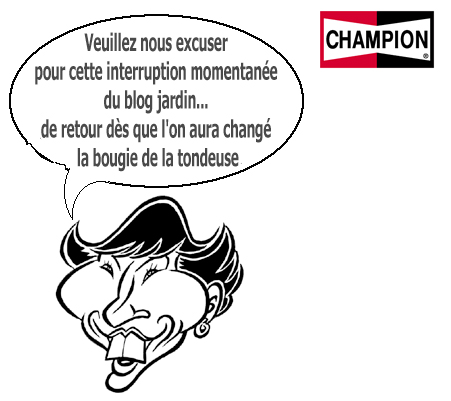 Le blog Jardin Recrute