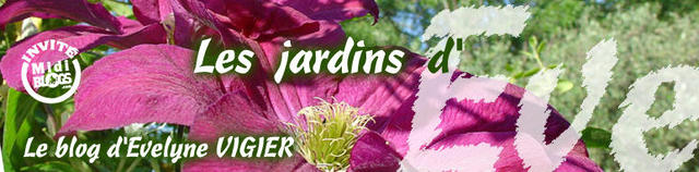 « Les jardins d’Eve » fête un an