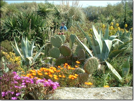 Acclimater les exotiques