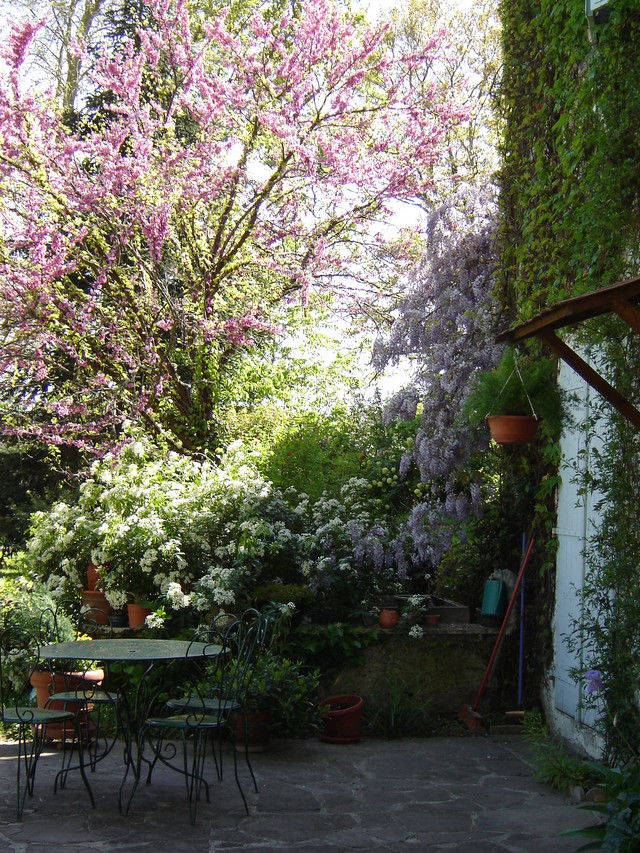 Astuces de plantation