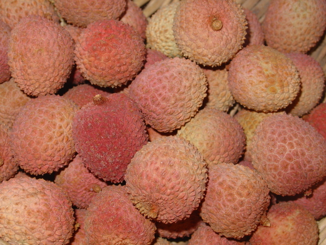 Le litchi, « cerise de Chine »