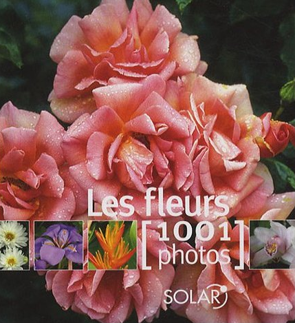 Les beaux livres de l’année 2007