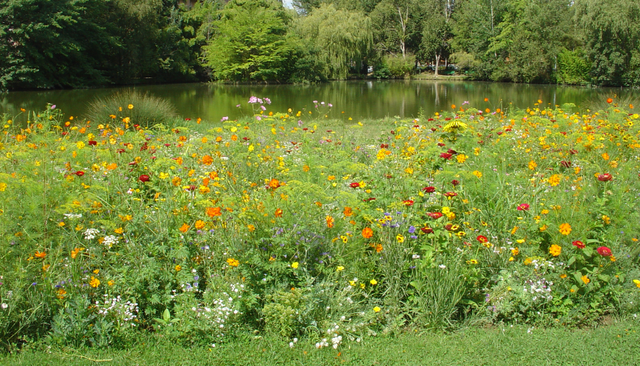 Un massif tout en légèreté