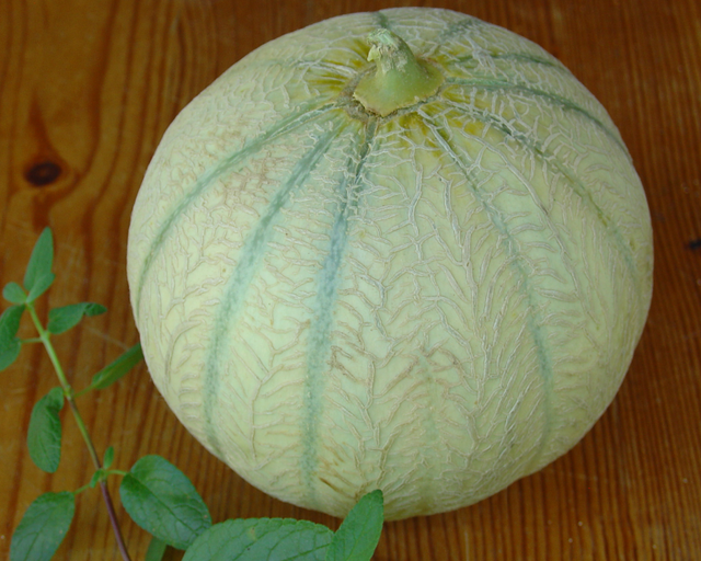 Le melon : un fruit qu’il faut savoir choisir