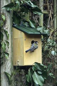 Préparez des abris pour auxiliaires