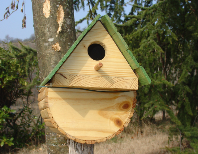 Les oiseaux en hiver