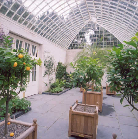 Inspection générale des agrumes