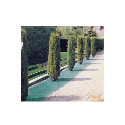 Les bonnes astuces d’automne