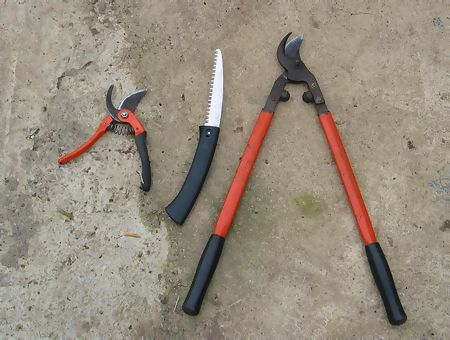 Les outils de taille