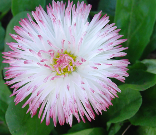 Un balcon aux tons pastels