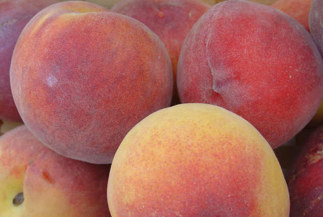 La pêche, fruit de l’été