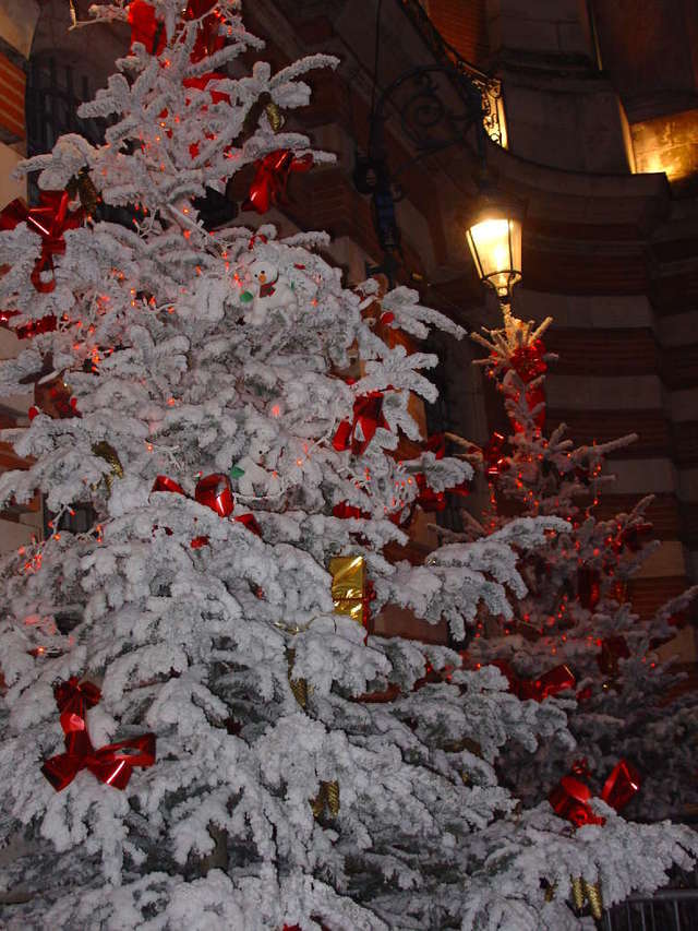 Un beau sapin de Noël