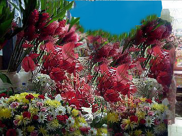 Manifestations au mois d’avril