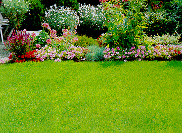 Installer un nouveau gazon