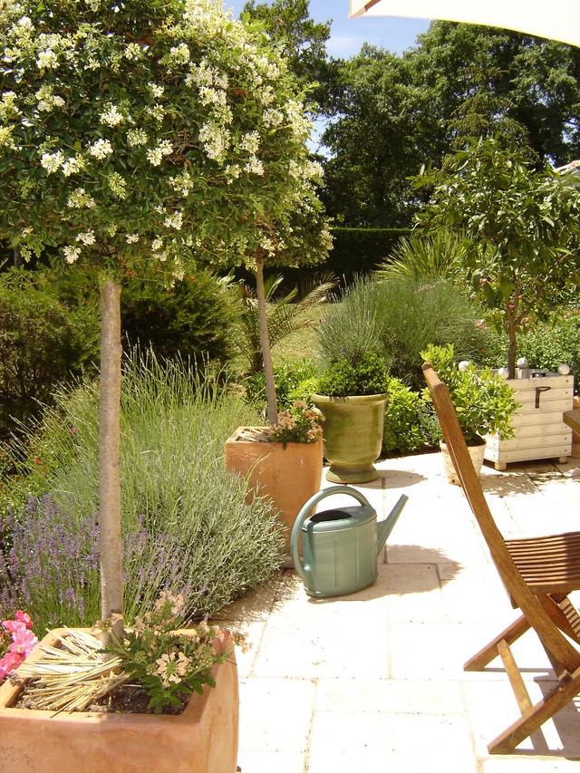 Bons tuyaux pour économiser l’eau