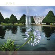 Jardin : événements de juin 2007