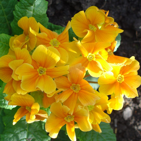 Quelques travaux de janvier