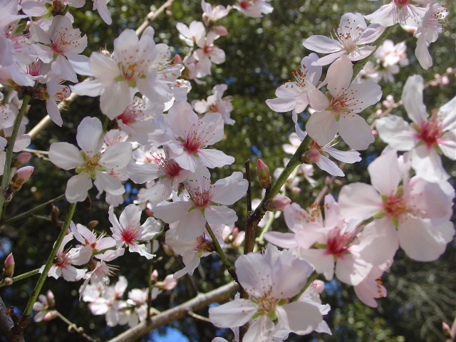 C’ est le premier jour du printemps
