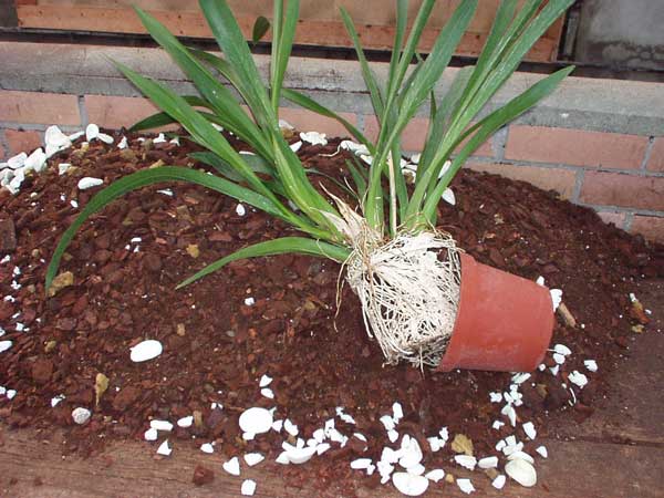 Rempotage ou surfaçage