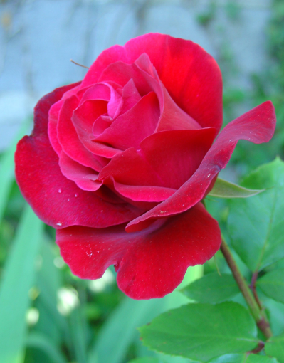 Et voilà le TOP 10!