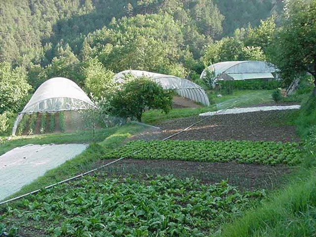Jardin : à faire avant l’hiver dans votre potager