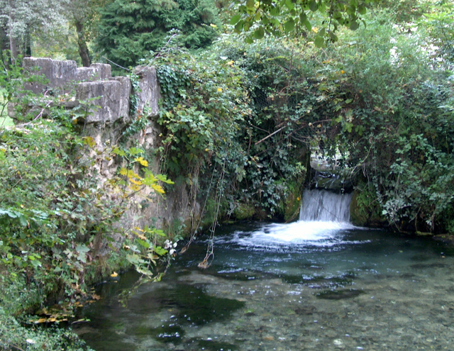 Pesticides sur la sellette