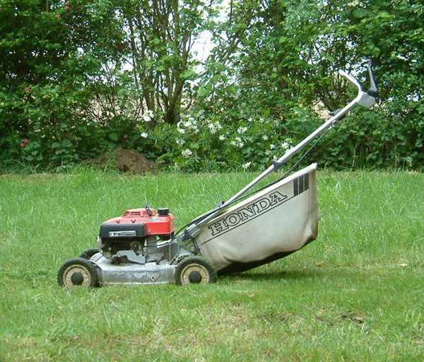 Gazon, les soins après l’hiver
