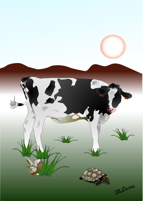 Le pralin, la gourmandise des plantes?