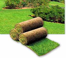 Pratique, le gazon en plaques