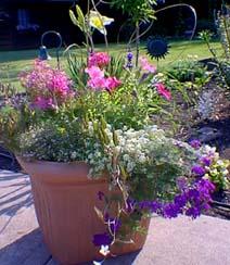 Au jardin, la couleur crée l’ambiance