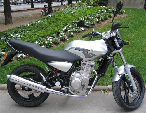 MZ renaît de ses cendres.