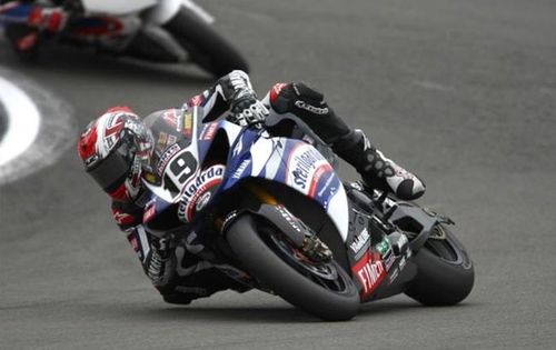 Ben Spies et les chats